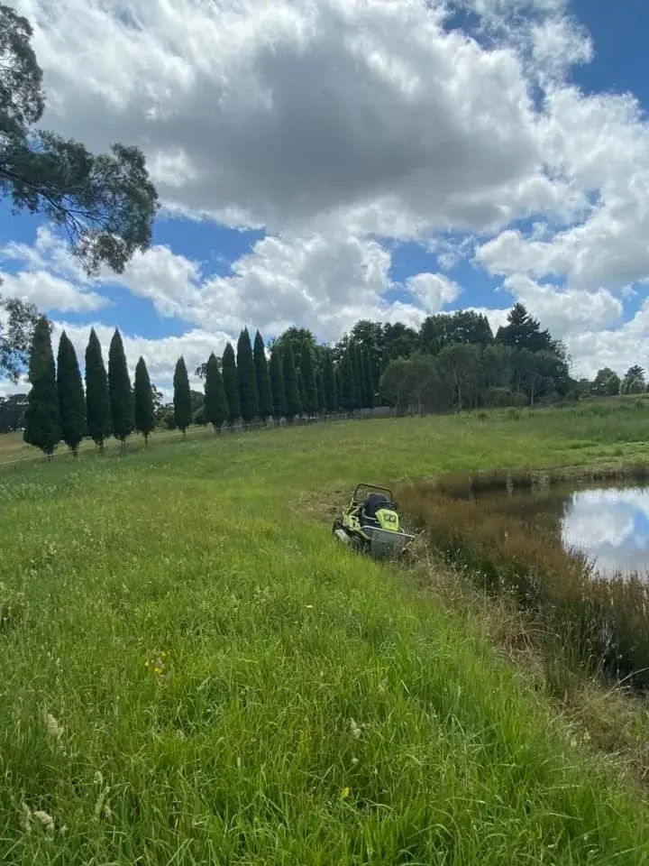 Rural property with dam and cypress windbreak maintained with chemical spraying