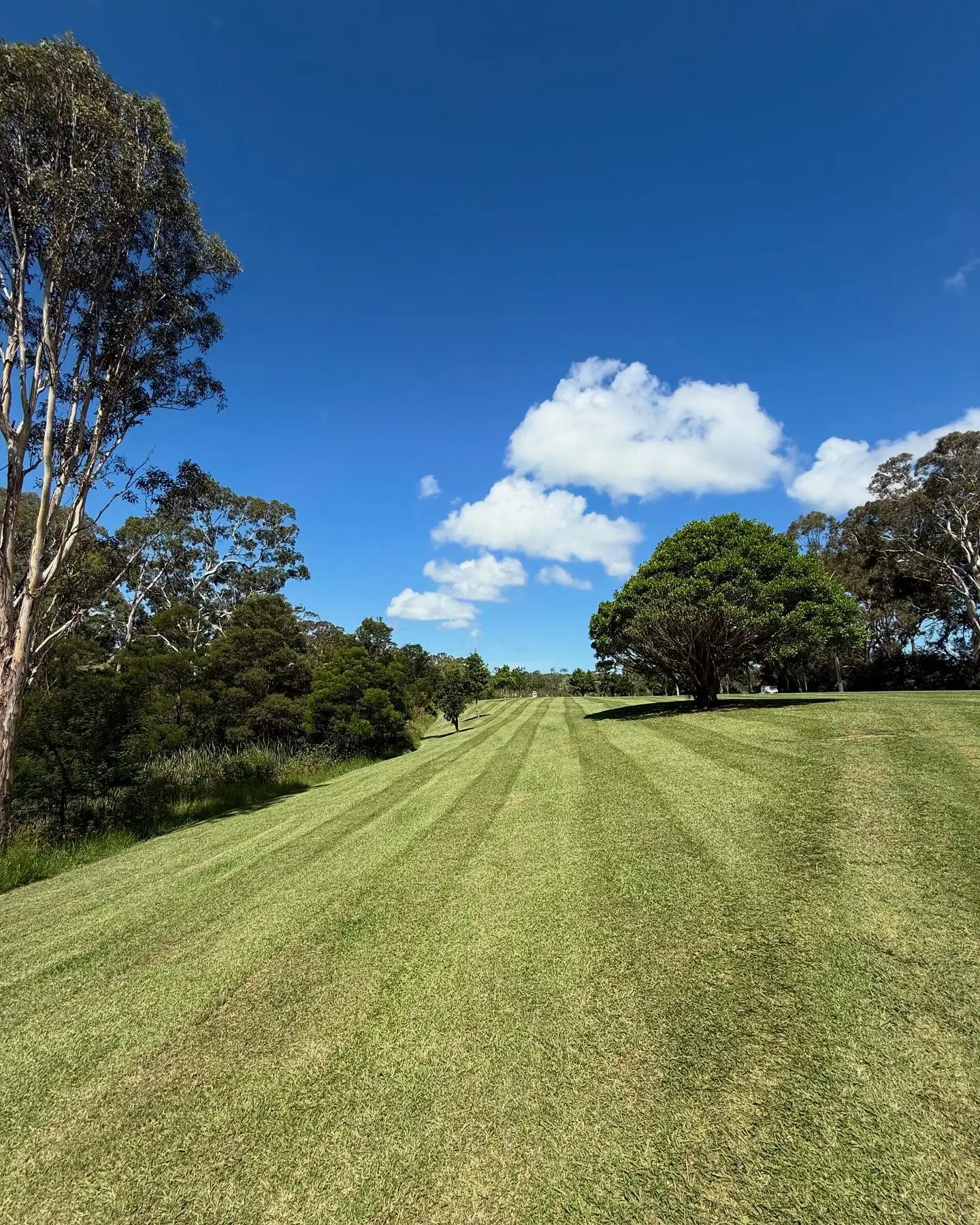 Neatly mowed and edged common area lawn on an estate in the Illawarra